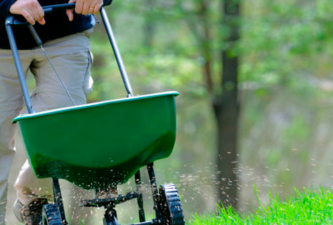 San Jose Lawn Aeration, Fertilizer